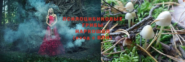 бутират Баксан