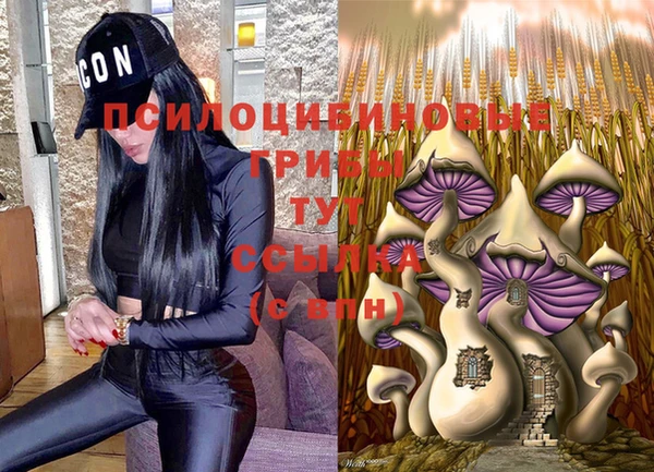 бутират Баксан